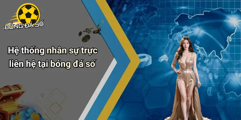 Liên Hệ: Kênh Kết Nối, Tư Vấn Và Hỗ Trợ Bóng Đá Số 4 Liên hệ