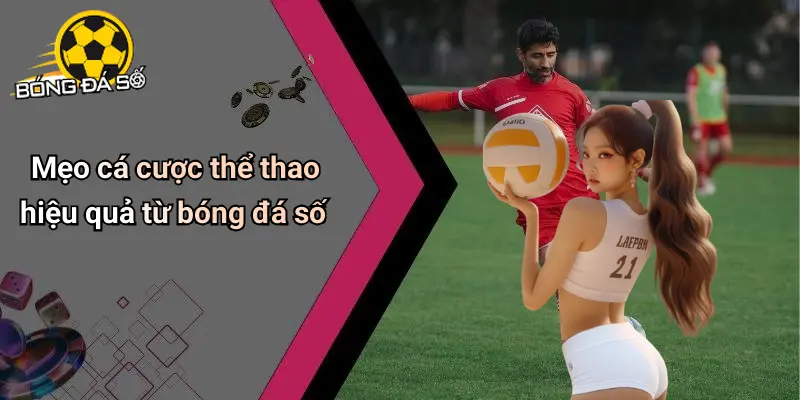 Bóng Đá Số: Giải Trí, Soi Kèo Và Cá Cược Thể Thao Online 71 Bóng đá số