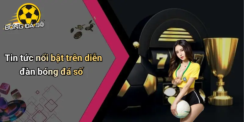 Tin Tức
