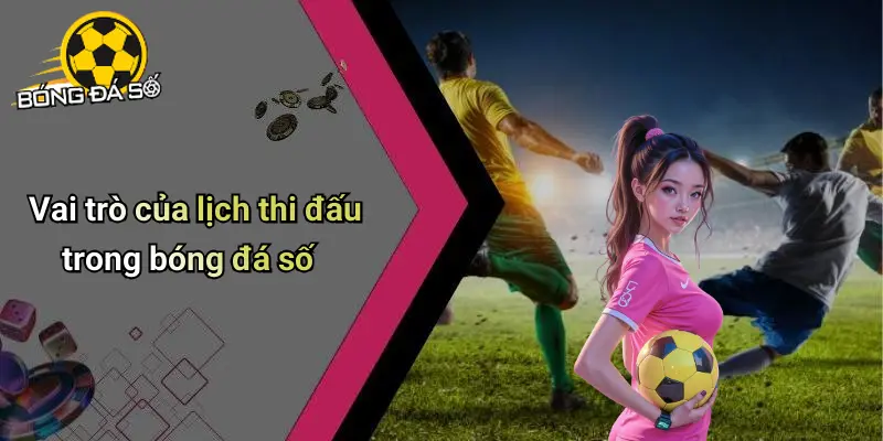 Lịch Thi Đấu: Bóng Đá Số & Bí Quyết Quản Lý Kèo Hiệu Quả 24 Lịch thi đấu