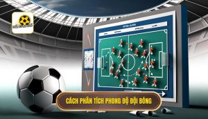 Cách phân tích phong độ đội bóng