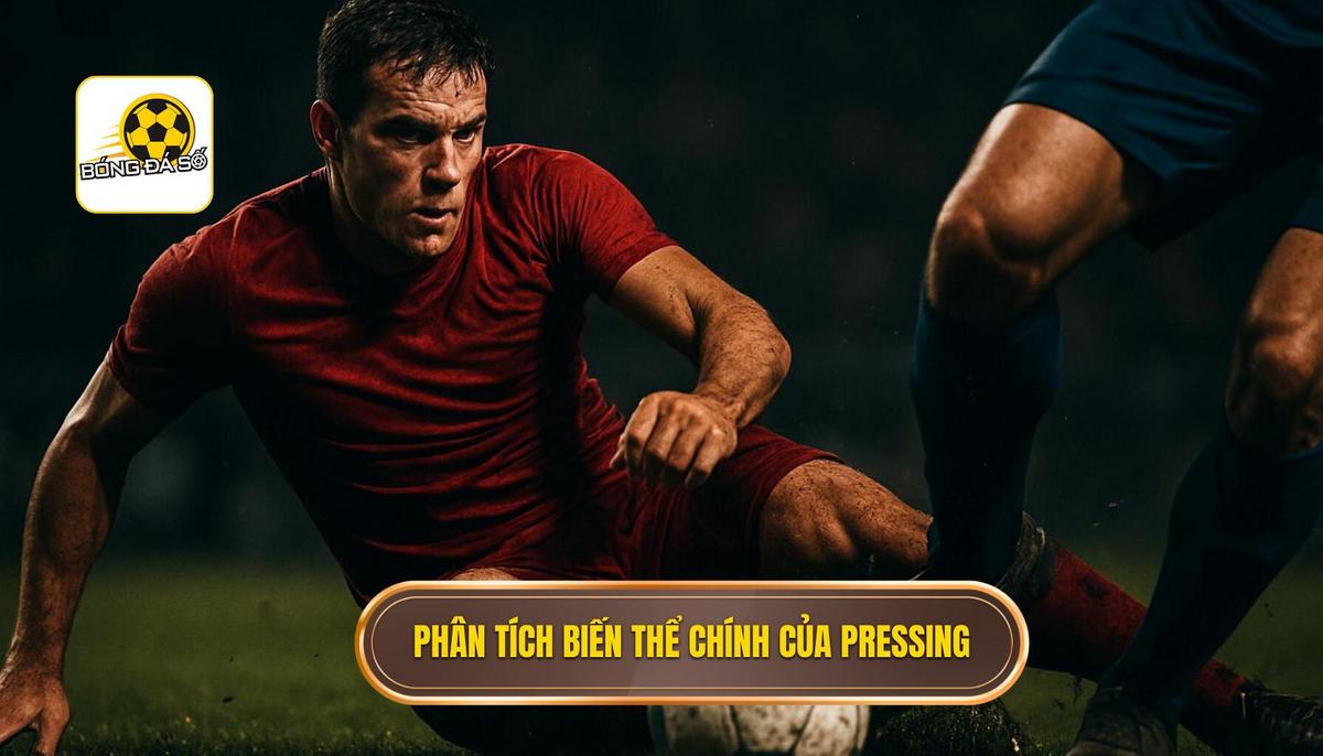 Phân tích Các Biến thể Chính của Pressing Tầm Cao