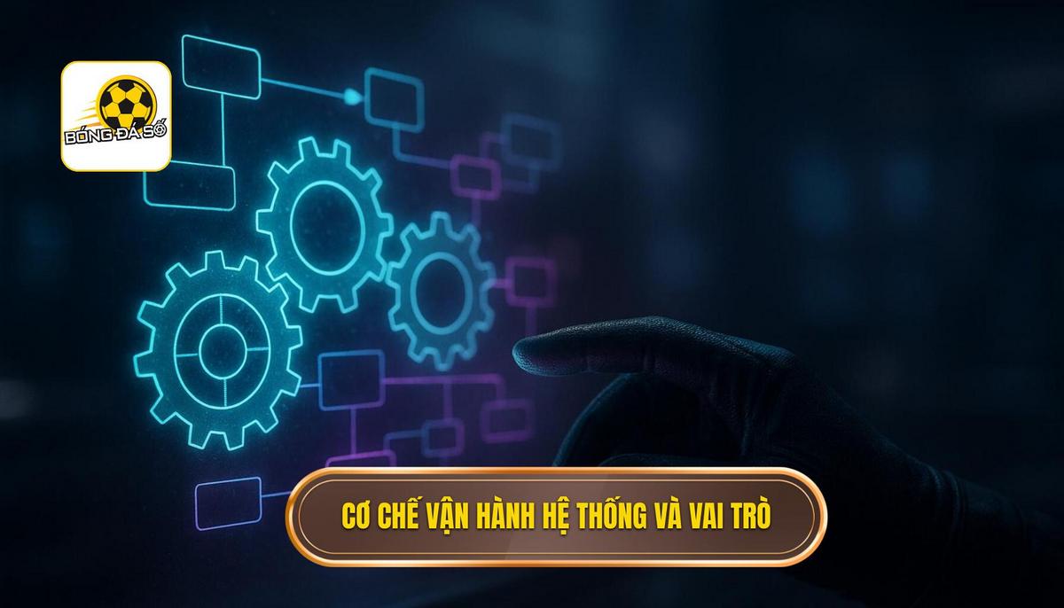 Cơ chế vận hành và vai trò của các vị trí trong hệ thống