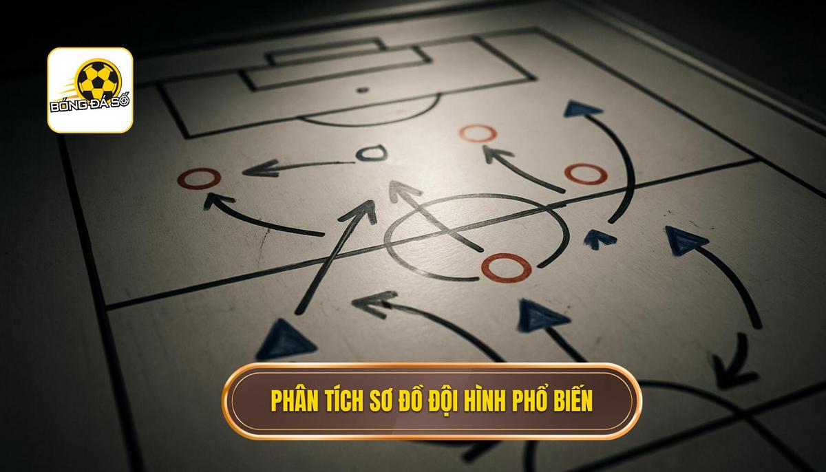 Phân tích các sơ đồ đội hình phổ biến và biến thể linh hoạt