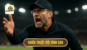 thumb - chiến thuật đội hình cao