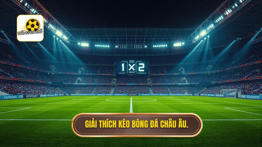 Cách đọc kèo bóng đá theo tỷ lệ châu Âu: Cẩm nang toàn tập từ chuyên gia BÓNG ĐÁ SỐ 1 Giải thích kèo bóng đá châu Âu.