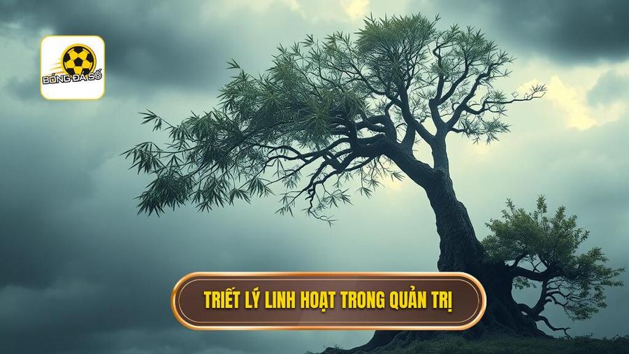 Triết lý cốt lõi: Sự linh hoạt thay vì sự cứng nhắc