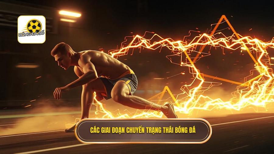 Các giai đoạn chuyển trạng thái – Chìa khóa của những chiến thắng