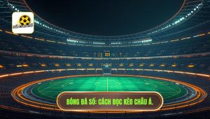 Cách đọc kèo châu Á cực chuẩn từ chuyên gia BÓNG ĐÁ SỐ